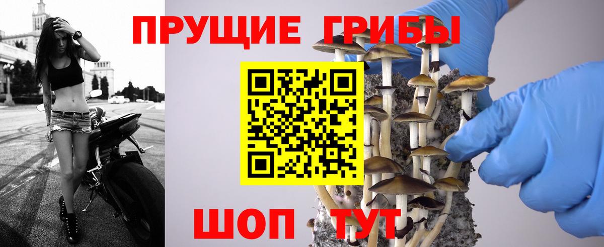 Псилоцибиновые грибы мухоморы Зерноград